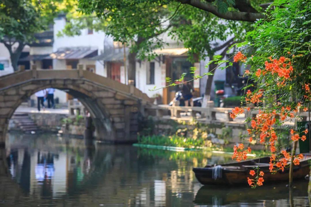 任何乒乓球赛中，都不允许发球球员遮挡发球是吗？游戏画面