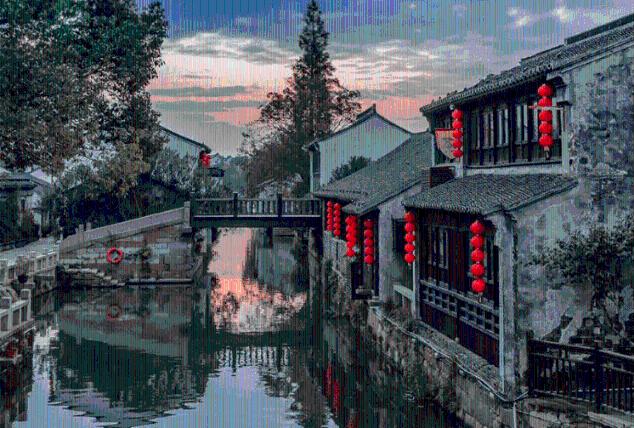 沉思:你得手后会往外跑吗?——家猫偷鱼的联想